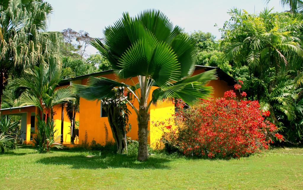 El Ranchito Surfcamp Hotel Pedregal Exterior photo